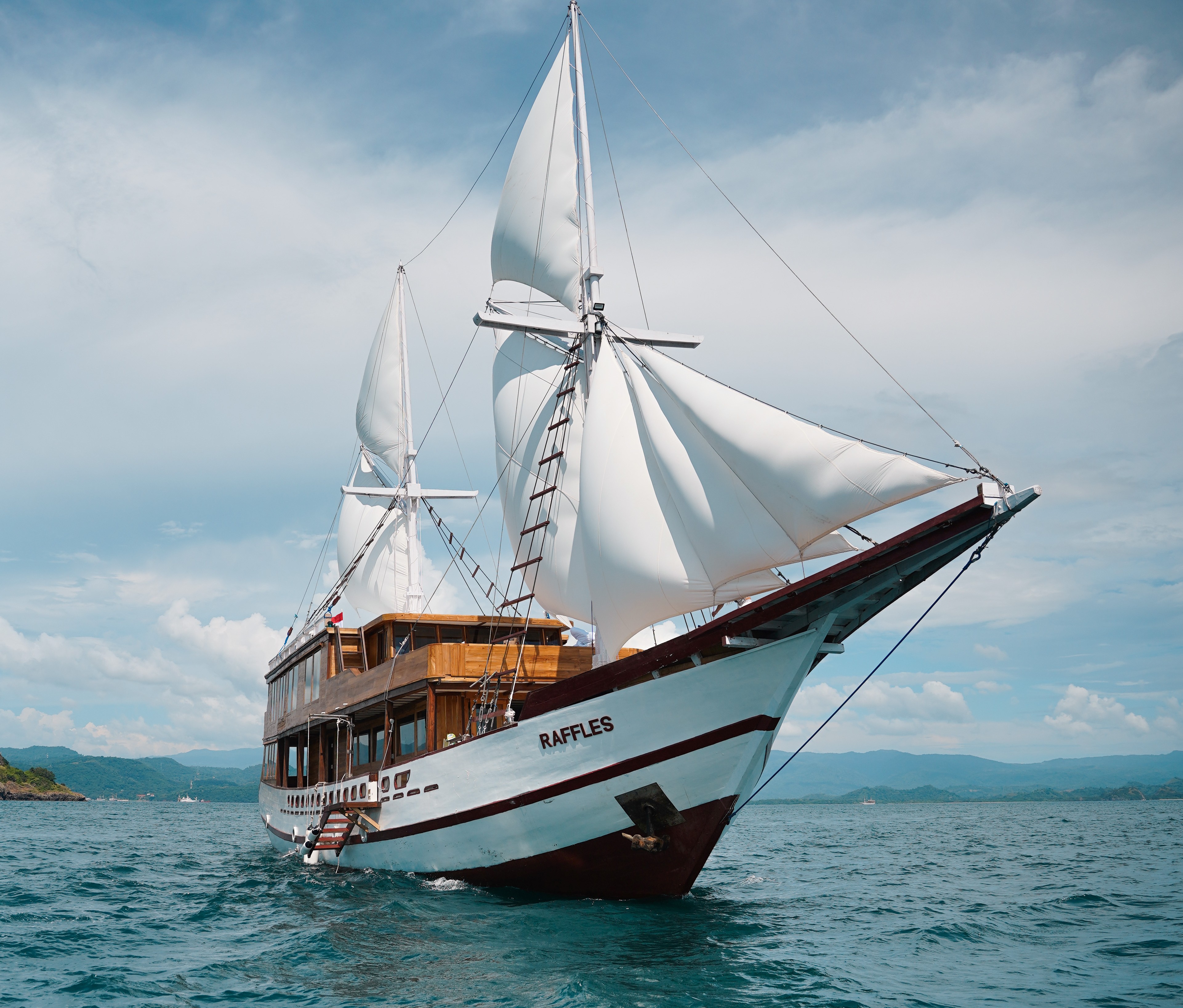 Raffles Cruise